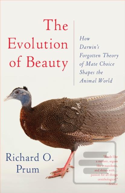 Evolution of Beauty : Ho…
