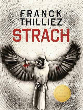 Kniha: Strach - Franck Thilliez