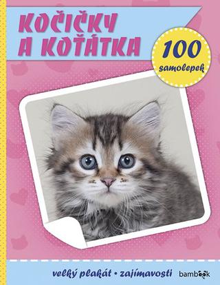 Kniha: Kočičky a koťátka - Plakát a 100 samolep - Plakát a 100 samolepek - 1. vydanie