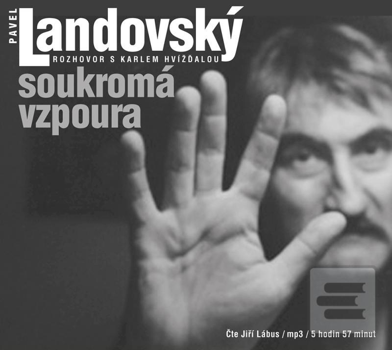 Sebevražedný oddíl 7 - V… (Rob Williams a kolektiv)