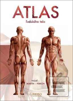 Kniha: Atlas ľudského tela - Jordi Vigué