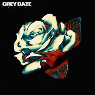 CD: Grey Daze: Amends - CD - 1. vydanie - Daze Grey