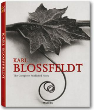Kniha: Bloosfeldt 25 gr - Hans-Christian Adam