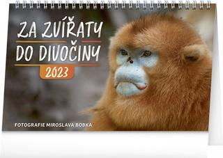 Kalendár stolný: Za zvířaty do divočiny 2023 - stolní kalendář