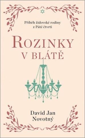 Kniha: Rozinky v blátě - Dva tucty střepů - Dva tucty střepů - 1. vydanie - David Jan Novotný