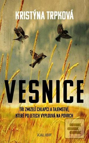Vesnice (Kristýna Trpková)