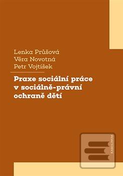 Praxe sociální práce v s… (Petr Vojtíšek)