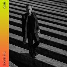 Kniha: Sting: The Bridge -  Sting