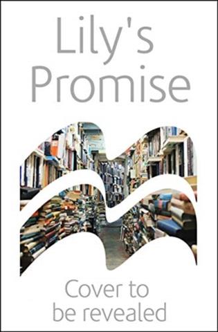 Kniha: Lilys Promise - 1. vydanie