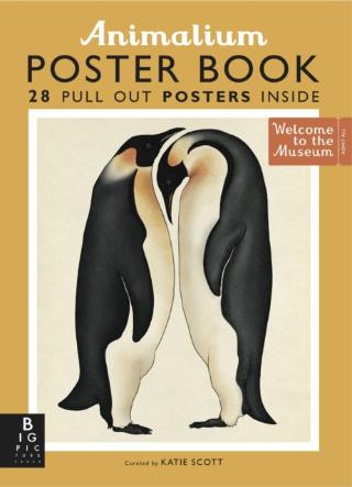 Kniha: Animalium Poster Book - Susanna Davidson