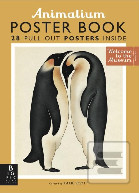Kniha: Animalium Poster Book - Susanna Davidson