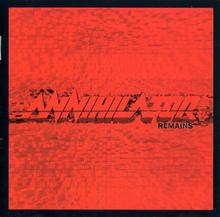 Kniha: Annihilator:  Remains - Annihilator