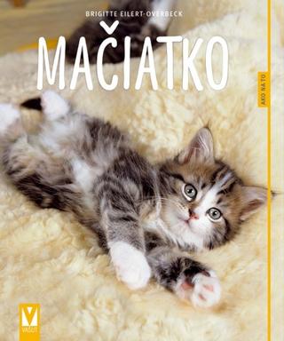 Kniha: Mačiatko – Ako na to - 2. vydanie - Brigitte Eilert-Overbeck