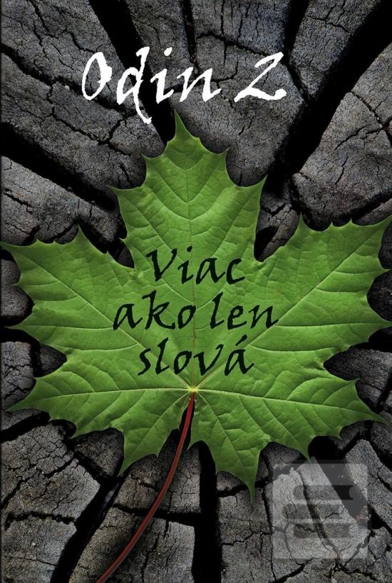 Kniha: Odin 2 - Viac ako len slová - Viac ako len slová - 1. vydanie