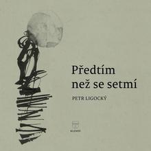 Kniha: Předtím než se setmí - Petr Ligocký