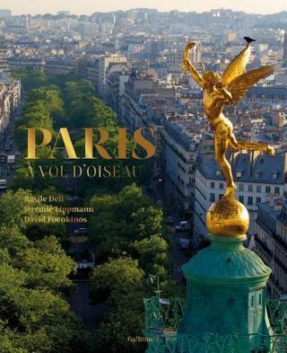 Kniha: Paris a vol d´oiseau - 1. vydanie - David Foenkinos