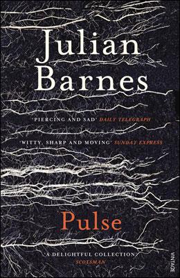 Kniha: Pulse - Julian Barnes