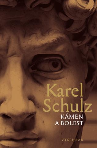 Kniha: Kámen a bolest - Karel Schulz
