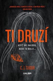 Kniha: Ti druzí - C. J. Tudor