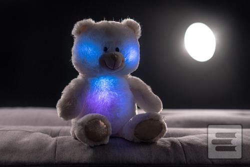 Snílek medvěd bílý plyš…