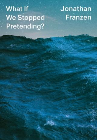 Kniha: What If We Stopped Pretending? - Jonathan Franzen