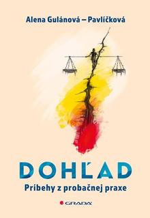Kniha: Dohľad - Príbehy z probačnej praxe - Alena Gulánová