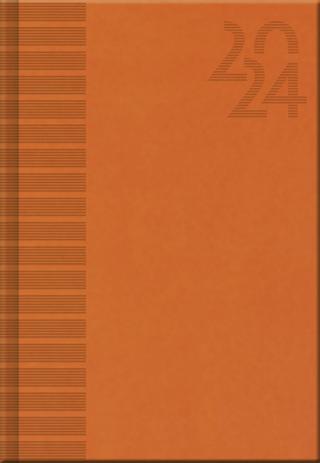 Knižný diár: Denní diář A5 cz/sk Vivella orange