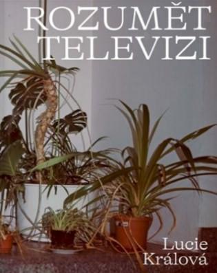 Kniha: Rozumět televizi - Lucie Králová