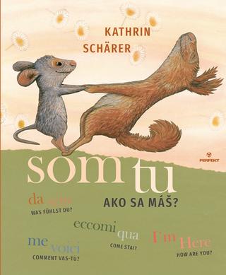 Kniha: Som tu / Ako sa máš - Ako sa máš? - 1. vydanie - Kathrin Schärer