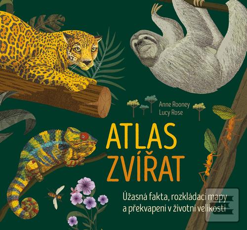 Atlas zvířat (Anne Rooneyová)