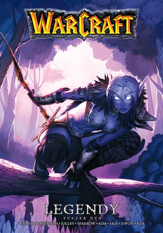 Kniha: Warcraft Legendy - Svazek dva - 1. vydanie - Richard A. Knaak