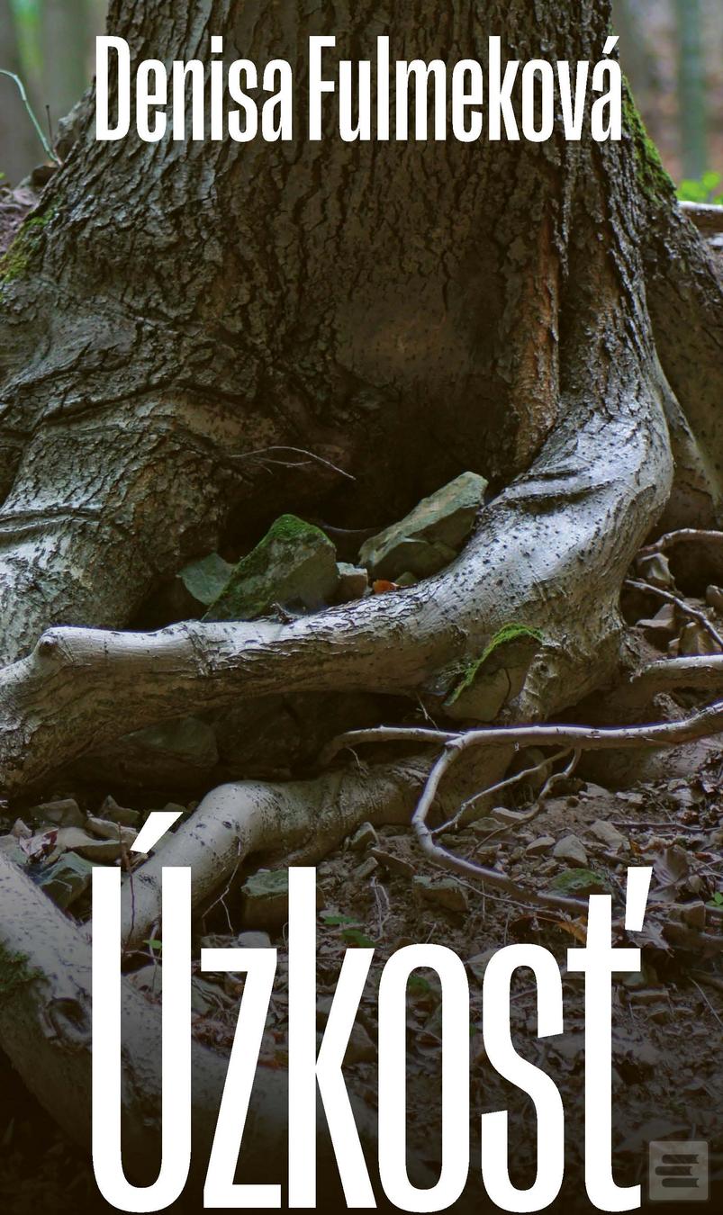 Kniha: Úzkosť - Denisa Fulmeková