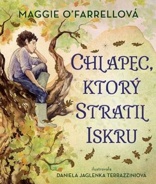 Kniha: Chlapec, ktorý stratil iskru - 1. vydanie - Maggie O´Farrell