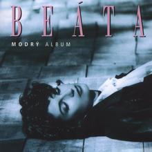 Kniha: Dubasova Beata:  Modry Album - Dubasova Beata