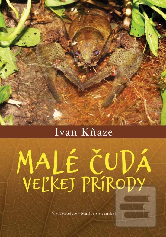 Kniha: Malé čudá veľkej prírody - 1. vydanie - Ivan Kňaze