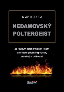 Kniha: Nedamovský poltergeist - Slávek Boura