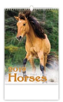 Kalendár nástenný: Koně