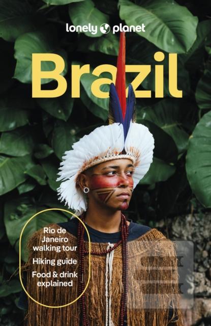 Lonely Planet Brazil (Lonely Planet,Trent Holden,Ann Babe,Joel Balsam,Rosie Bell,Marc Di Duca,Jamie Ditaranto,Kathryn Dominique Lum,Luana Ferreira,Christine Gilbert)