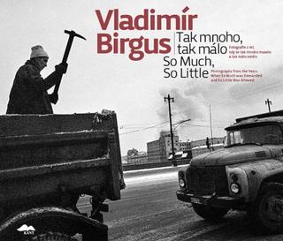 Kniha: Tak mnoho, tak málo  / So Much, So Little - Fotografie z let, kdy se tak mnoho muselo a tak málo smělo - Vladimír Birgus