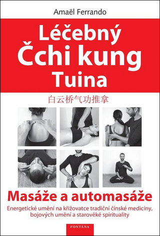 Kniha: Léčebný Čchi kung Tuina - Masáže a automasáže - 1. vydanie - Amaël Ferrando