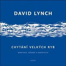 Kniha: Chytání velkých ryb - Meditace, vědomí a kreativita - David Lynch