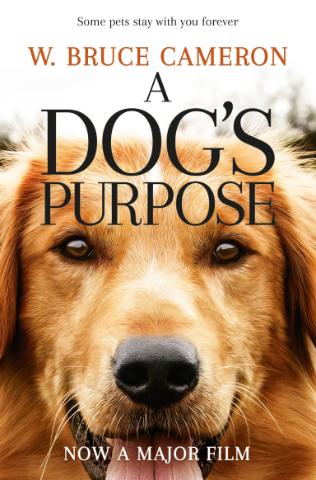 Kniha: Dog`s Purpose - 1. vydanie - W. Bruce Cameron