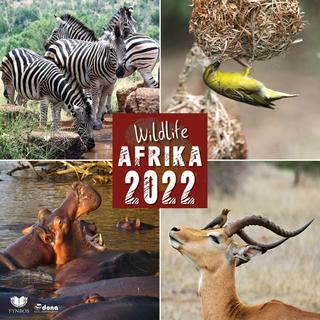 Kalendár nástenný: Jižní Afrika 2022 - nástěnný kalendář