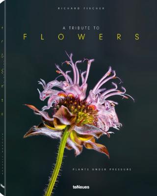 Kniha: A Tribute to FLOWERS - Richard Fischer