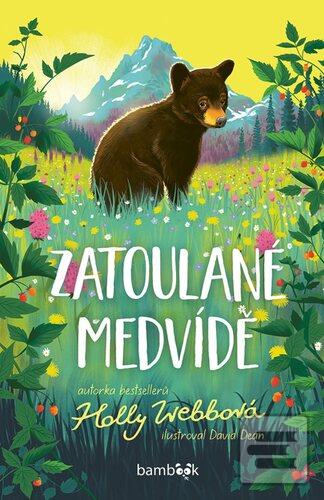 Kniha: Zatoulané medvídě - 1. vydanie - Holly Webbová