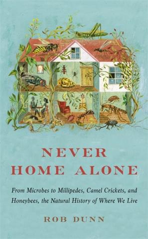Kniha: Never Home Alone