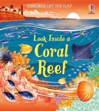 Kniha: Look inside a Coral Reef - Minna Lacey