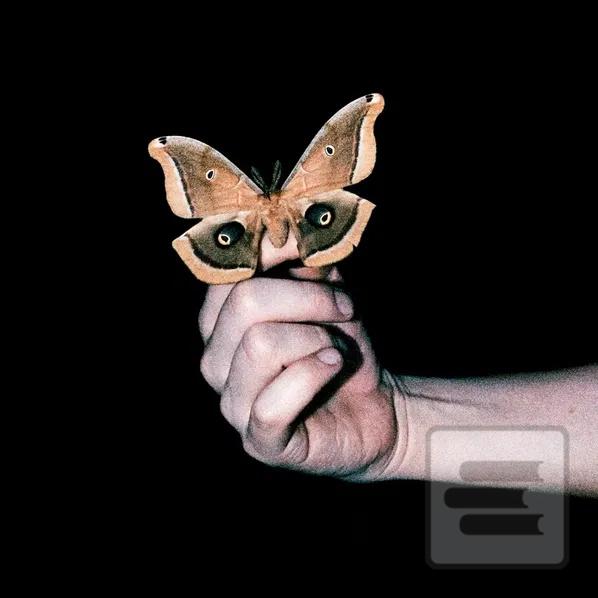 Kniha: Soulwax:  All Systems Are Lying - VIRGIN UK