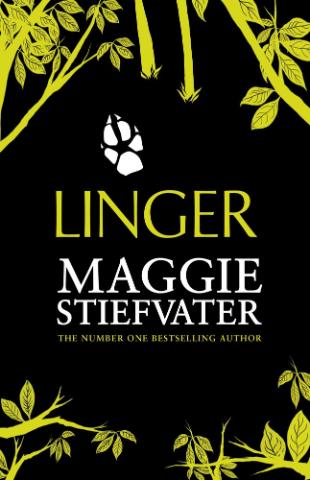 Kniha: Linger - Maggie Stiefvaterová