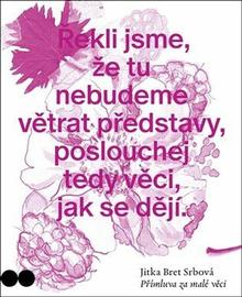 Kniha: Přímluva za malé věci - 1. vydanie - Jitka Bret Srbová